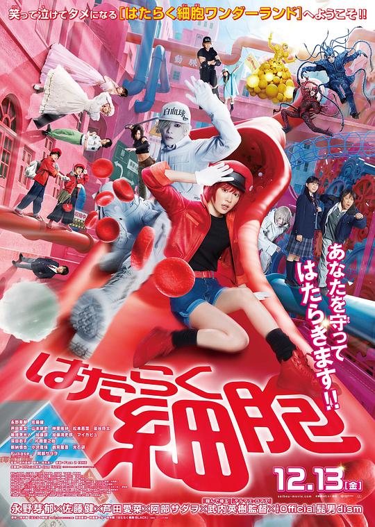 91看片网《工作细胞 真人版 はたらく細胞》免费在线观看