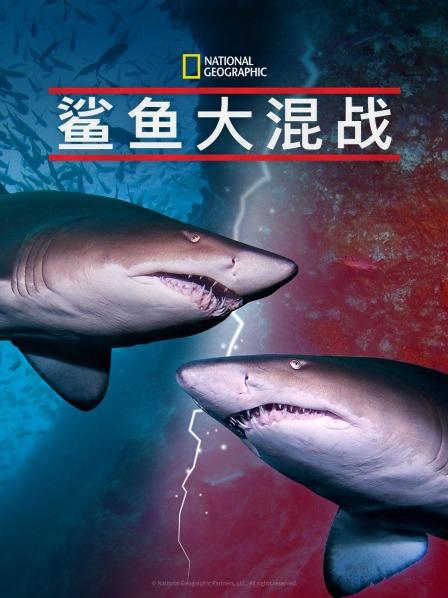 91短视频《鲨鱼大混战》免费在线观看