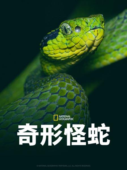 91短视频污《奇形怪蛇》免费在线观看